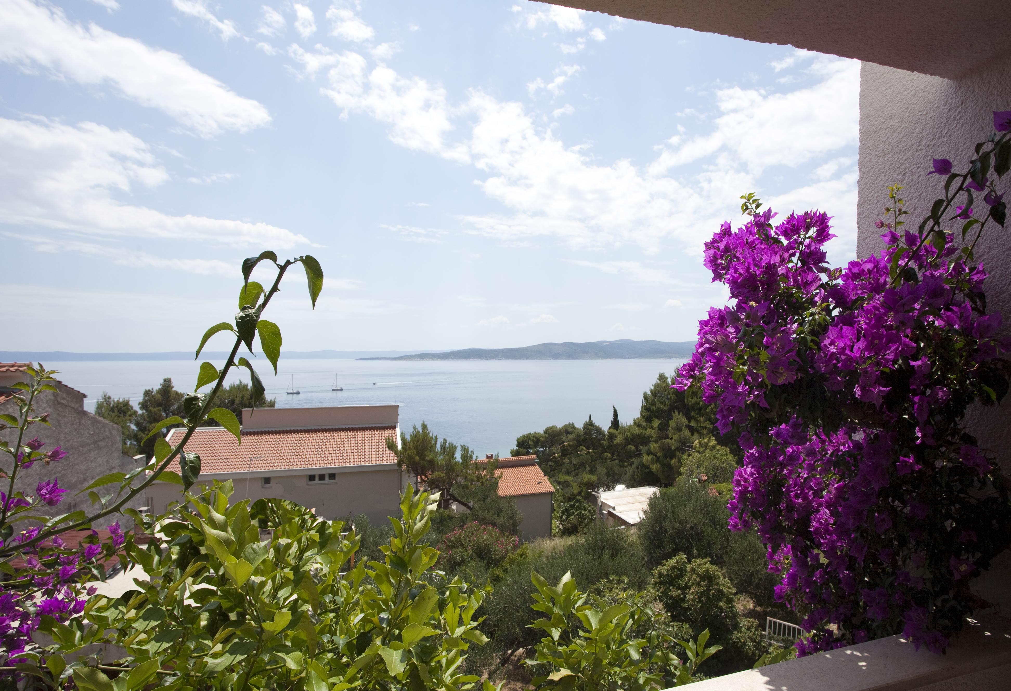 Villa Skalinada, 8 Persons, Private Pool, Башка-Вода Экстерьер фото